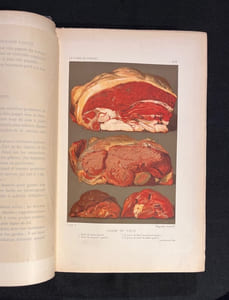 Le livre de cuisine. Comprenant la cuisine de ménage et la grande cuisine.