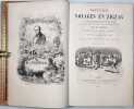 Nouveaux voyages en zigzag. Pr&eacute;c&eacute;d&eacute;s d’une notice par Sainte-Beuve. Illustres d’apres les dessins originaux de T&ouml;pffer par MM. Calame, Karl Girardet, ...