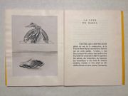 Repères. par [SURRÉALISME]: - Image 16