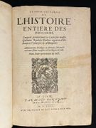 L'Histoire entiere des poissons. par RONDELET Guillaume: - Image 1