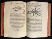 L'Histoire entiere des poissons. par RONDELET Guillaume: - Image 10