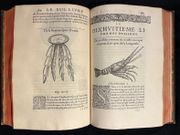 L'Histoire entiere des poissons. par RONDELET Guillaume: - Image 11