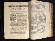 L'Histoire entiere des poissons. par RONDELET Guillaume: - Image 14