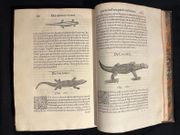 L'Histoire entiere des poissons. par RONDELET Guillaume: - Image 15