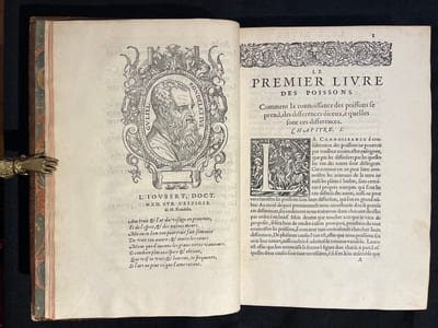 L'Histoire entiere des poissons.