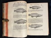 L'Histoire entiere des poissons. par RONDELET Guillaume: - Image 5