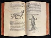 L'Histoire entiere des poissons. par RONDELET Guillaume: - Image 9