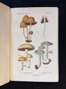 Atlas des champignons de France, Suisse et Belgique. par ROLLAND Léon: - Image 1