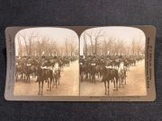 Lot de 77 cartes stéréoscopiques diverses provenant de "The Perfect Stereograph". par [PHOTOGRAPHIE]: - Image 3