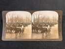 Lot de 77 cartes stéréoscopiques diverses provenant de "The Perfect Stereograph".. [PHOTOGRAPHIE]:
