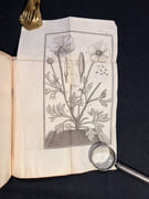 Traité des Renoncules dans lequel outre de qui concerne ces fleurs, on trouvera des observations physiques et plusieurs remarques utiles, soit pour l'Agriculture, soit pour le Jardinage. par ARDÈNE Jean Paul de Rome d': - Image 2