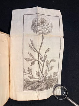 Traité des Renoncules dans lequel outre de qui concerne ces fleurs, on trouvera des observations physiques et plusieurs remarques utiles, soit pour ...