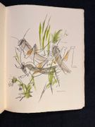 De la patte à l'aile. par COLETTE: - Image 3