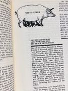 The Movement Toward a New America : The Beginnings of a Long Revolution. par GOODMAN Mitchell: - Image 2