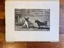 Tauromachia.. GOYA Francisco de: