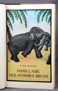 Dans l’Asie des hommes bruns. Voyage aux Indes.