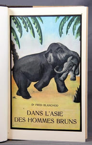 Dans l’Asie des hommes bruns. Voyage aux Indes.