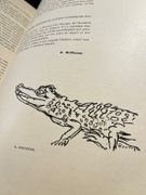 L'Eventail. Revue de littérature et d’art. par LAYA François directeur.; PIACHAUD René Louis, [puis] HOFFMAN Georges, secrétaire; Apollinaire, A. Breton, F. Carco, B. Cendrars, F. Divoire, P. Fort, P. Géraldy, A. Gide, E. Jaloux, H. Martineau, F. de Miomandre, Rachilde, P. Reboux, H. de Régnier, J. Rivières, J. Romains, J.H. Rosny, A. Salmon, P.-J.Toulet,. F. Viélé-Griffin, Wily, entres autres collaborateurs: - Image 9