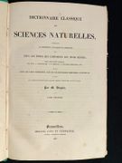 Dictionnaire classique des sciences naturelles, présentant la définition, l'analyse et l'histoire de tous les êtres qui composent les trois règnes, leur application générale aux arts, à l'agriculture, à la médecine, à l'économie domestique, etc.; résumant tous les faits présentés par les dictionnaires d'histoire naturelle; augmenté des nombreuses découvertes acquises depuis la publication de ces ouvrages. par DRAPIEZ Pierre-Auguste: - Image 2
