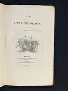 Fleurs de l'arrière-saison. par [GAUDY-LEFORT Jean-Aimé]: - Image 2