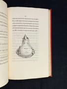 Physiologie de la Poire. Par Louis Benoît, jardinier. par [PEYTEL Sébastien-Benoît]: - Image 4