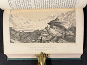 Excursions et séjour dans les glaciers et les hautes régions des Alpes, de M. Agassiz et ses compagnons de voyage. [avec] Nouvelles excursions et séjours dans les glaciers et les hautes régions des Alpes de M. Agassiz et de ses compagnons de voyage. Par E. Desor. Accompagnées d’une notice sur les glaciers de l’Allée-Blanche et du Val-Ferret, par M. Agassiz, et d’un aperçu sur la structure géologique des Alpes, par M. Studer. par DESOR Edouard: - Image 4