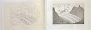1 - Etudes sur les glaciers. Ouvrage accompagné d'un atlas de 32 planches. [et] 2 - Nouvelles études et expériences sur les glaciers actuels, leurs structure, leur progression et leur action physique sur le sol. Avec un atlas de 3 cartes et 9 planches. par AGASSIZ Louis: - Image 7