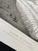 1 - Etudes sur les glaciers. Ouvrage accompagné d'un atlas de 32 planches. [et] 2 - Nouvelles études et expériences sur les glaciers actuels, leurs structure, leur progression et leur action physique sur le sol. Avec un atlas de 3 cartes et 9 planches. par AGASSIZ Louis: - Image 8