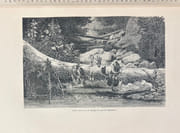 Voyage au Brésil. par AGASSIZ Mme et M. Louis; VOGELI Félix (trad.): - Image 3