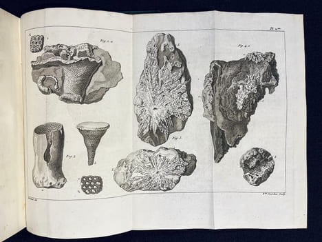 Voyages au Mont-Perdu et dans la partie adjacente des Hautes-Pyrénées.. RAMOND DE CARBONNIÈRES Louis François Élisabeth:
