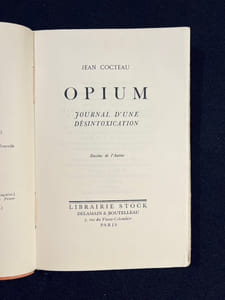 Opium. Journal d’une désintoxication.