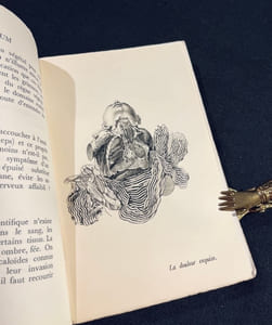 Opium. Journal d’une désintoxication.