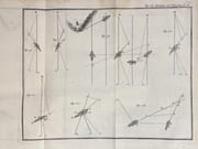 De la manoeuvre des vaisseaux ou traité de méchanique et de dynamique; dans lequel on réduit à des solutions très simples les Problèmes de Marine les plus difficiles, qui ont pour objet le mouvement du Navire. par BOUGUER Pierre: - Image 6