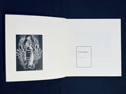 Petites pièces pouvant servir à approcher (même à comprendre) sinon à expliquer dans son ensemble le surréalisme. Précédé de Lire un film par Alain Joubert. par BENAYOUN Robert: - Image 2