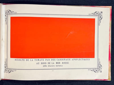 Album primo-avrilesque composé 1° D'une spirituelle préface par l'auteur ; 2° De sept magnifiques planches gravées en taille-douce et de différentes couleurs ; 3° D'une seconde Préface presque aussi spirituelle que la première, et enfin D'une marche funèbre spécialement composée pour les funérailles d'un grand homme sourd.