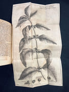 Voyage de l'Arabie Heureuse, Par l'Ocean Oriental, & le Détroit de la Mer Rouge. Fait par les Francois pour la premiere fois, dans les années 1708, 1709 & 1710. Avec La Relation particuliere d'un Voyage du Port de Moka à la Court du Roi d'Yemen, dans la seconde Expedition des années 1711, 1712 & 1713. Un Memoire concernant l'Arbre & le Fruit de Café, dressé sur les Observations de ceux qui ont fait ce derniere Voyage. Et un Traité historique de l'origine & du progrès du Café, tant dans l'Asie que dans l'Europe; de son introduction en France, & de l'établissement de son usage à Paris. par LA ROQUE Jean de: - Image 3