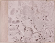 4 aquatintes originales en couleurs. Pour la Fondation William Cuendet & Atelier de St-Prex. par CHAVAZ A.; PALÉZIEUX G. de; SARTO P.; TAL-COAT P: - Image 7
