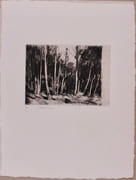 Stampa nell'Atelier di Colla nel 1996 di Gianstefano Galli. par PALÉZIEUX Gérard de: - Image 1