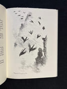 Le mystère du monstre. par BILLE Corinna S.: - Image 3