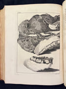 Travels into Dalmatia; containing general observations on the natural history of that country and the neighbouring islands; the natural productions, arts, manners and customs of the inhabitants: in a series of letters from Abbe Alberto Fortis, to the Earl of Bute, the Bishop of Londonderry, John Strange, Esq.... To which are added by the same author, observations on the island of Cherso and Osero. Translated from the Italian under the author's inspection. With an appendix and other considerable additions, never before printed. Illustrated with twenty copper plates. par FORTIS Alberto: - Image 7