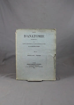 Traité d’anatomie descriptive, rédigé d’après l’ordre adopté à la faculté de médecine de Paris. Angéiologie.. CLOQUET Hippolyte: