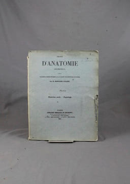 Traité d’anatomie descriptive, rédigé d’après l’ordre adopté à la faculté de médecine de Paris. Angéiologie.. CLOQUET Hippolyte: