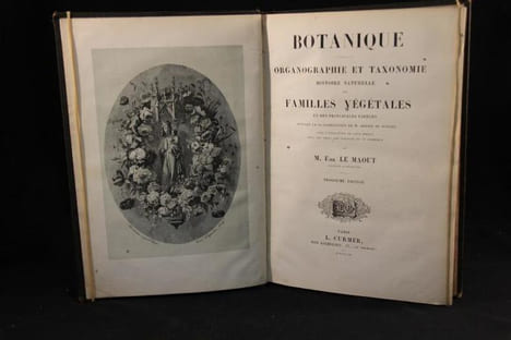 Botanique. Organographie et taxonomie. Histoire naturelle des familles végétales et des principales espèces suivant la classification de M. Adrien de ...