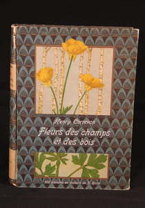 Fleurs des champs et des bois, des haies et des murs.
