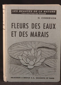 Fleurs des eaux et des marais.