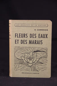 Fleurs des eaux et des marais.