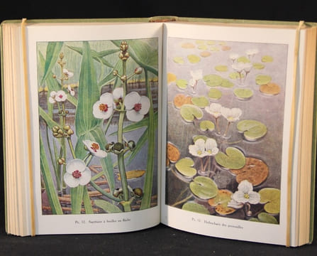 Fleurs des eaux et des marais.. CORREVON Henry: