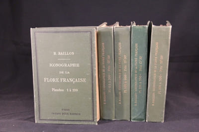 Iconographie de la flore française.
