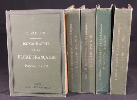 Iconographie de la flore française.. BAILLON H: