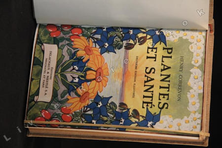 Plantes et santé ou Le jardin de l’herboriste.